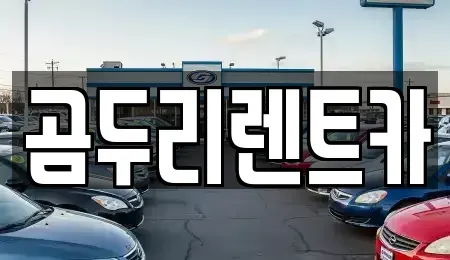 부산 금정구 렌트카 전문 곰두리렌트카