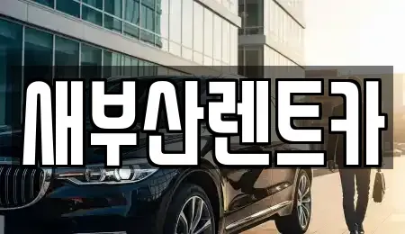 부산 금정구 장기렌트카 전문 새부산렌트카