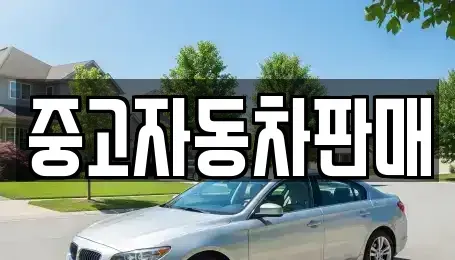 부산 금정구 중고차 전문 중고자동차판매