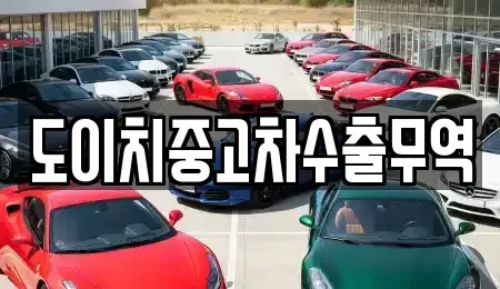 부산 수영구 수영동 중고차 전문 도이치중고차수출무역