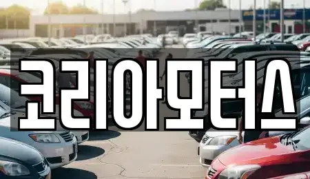 부산 수영구 수영동 중고차 전문 코리아모터스