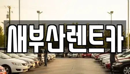 부산 중구 남포동5가 렌트카 전문 새부산렌트카