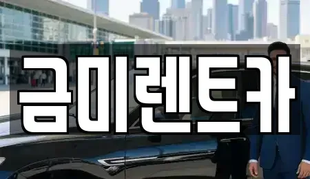 서울 영등포구 양평동1가 렌트카 전문 금미렌트카