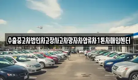 서울 용산구 보광동 중고차 전문 수출중고차법인차고장사고차망자차압류차1톤차매입센터