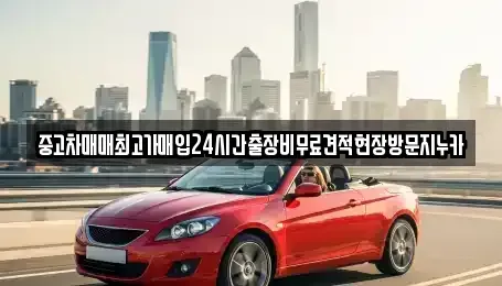 서울 은평구 증산동 중고차 전문 중고차매매최고가매입24시간출장비무료견적현장방문지누카