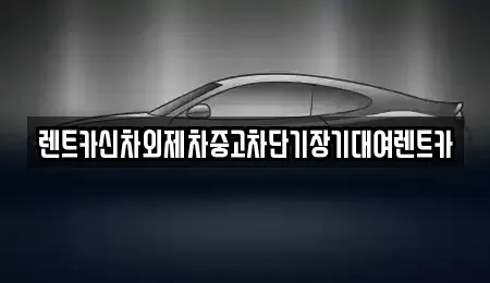 서울 종로구 종로3가 단기렌트카 전문 렌트카신차외제차중고차단기장기대여렌트카