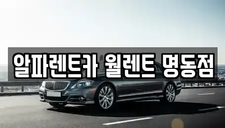 서울 종로구 종로3가 렌트카 전문 알파렌트카 월렌트 명동점