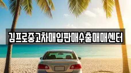 서울 종로구 종로3가 중고차매입 전문 김프로중고차매입판매수출매매센터