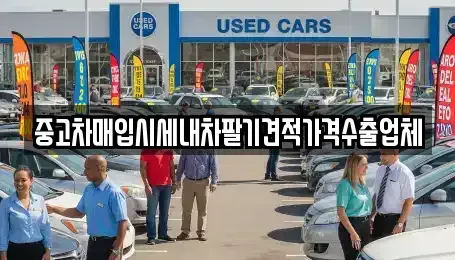 서울 종로구 종로3가 중고차매입 전문 중고차매입시세내차팔기견적가격수출업체