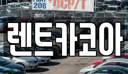 서울 중구 남산동2가 렌트카 전문 렌트카코아