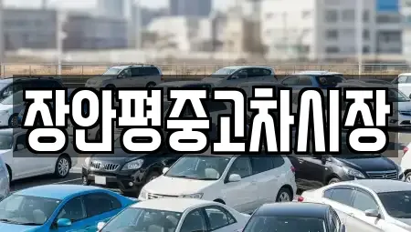 서울 중구 남산동2가 중고차매매 전문 장안평중고차시장