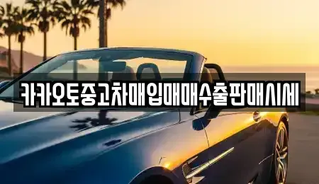 서울 중구 남산동2가 중고차매입 전문 카카오토중고차매입매매수출판매시세