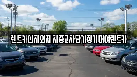 서울 중구 명동1가 렌트카 전문 렌트카신차외제차중고차단기장기대여렌트카