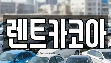 서울 중구 명동1가 렌트카 전문 렌트카코아