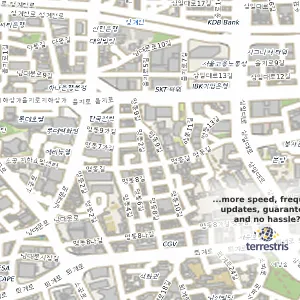 서울 중구 명동1가 중고차 인증자동차 위치