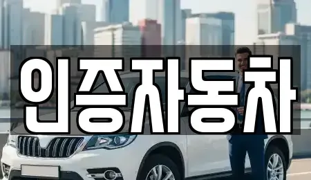 서울 중구 명동1가 중고차 전문 인증자동차