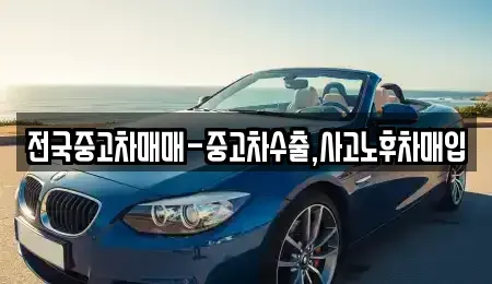 서울 중구 명동1가 중고차 전문 전국중고차매매-중고차수출,사고노후차매입