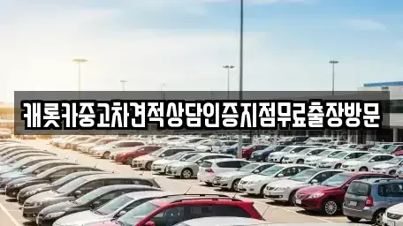 서울 중구 명동1가 중고차 전문 캐롯카중고차견적상담인증지점무료출장방문