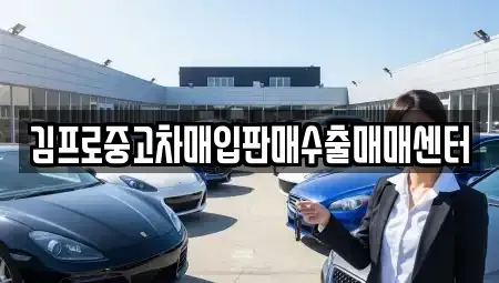 서울 중구 명동1가 중고차매입 전문 김프로중고차매입판매수출매매센터