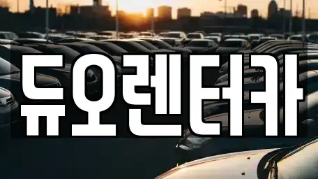 서울 중구 을지로3가 렌트카 전문 듀오렌터카