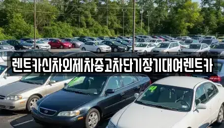 서울 중구 을지로3가 렌트카 전문 렌트카신차외제차중고차단기장기대여렌트카