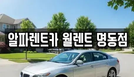 서울 중구 을지로3가 렌트카 전문 알파렌트카 월렌트 명동점