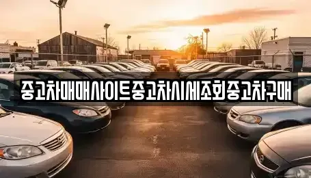 서울 중구 을지로3가 중고차 전문 중고차매매사이트중고차시세조회중고차구매
