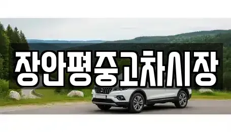 서울 중구 을지로3가 중고차매매 전문 장안평중고차시장