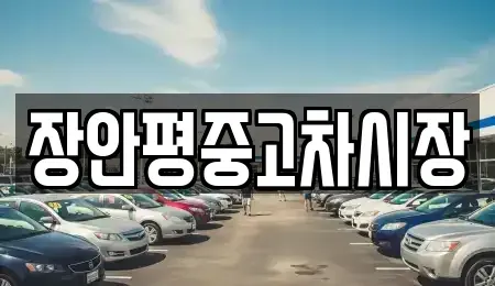 서울 중구 태평로1가 중고차 전문 장안평중고차시장