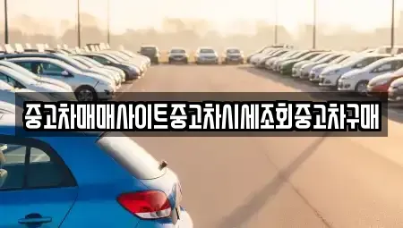 서울 중구 태평로1가 중고차 전문 중고차매매사이트중고차시세조회중고차구매