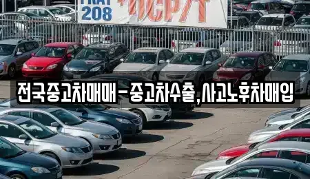 서울 중구 태평로1가 중고차매입 전문 전국중고차매매-중고차수출,사고노후차매입