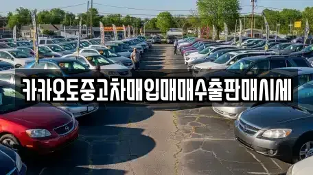 서울 중구 태평로1가 중고차매입 전문 카카오토중고차매입매매수출판매시세