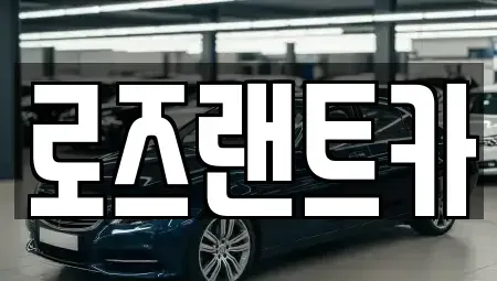 서울특별시 강남구 자곡동 렌트카 전문 로즈랜트카