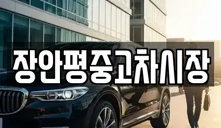 서울특별시 강남구 자곡동 중고차 전문 장안평중고차시장