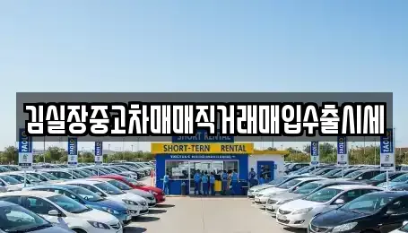서울특별시 서대문구 미근동 중고차 전문 김실장중고차매매직거래매입수출시세