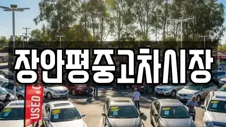 서울특별시 서대문구 미근동 중고차매매 전문 장안평중고차시장