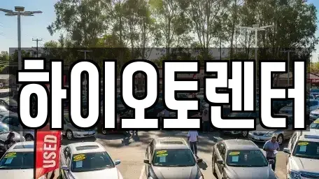 서울특별시 성북구 보문동4가 렌트카 전문 하이오토렌터