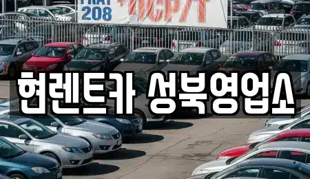 서울특별시 성북구 보문동4가 렌트카 전문 현렌트카 성북영업소