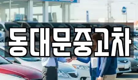 서울특별시 성북구 보문동4가 중고차매매 전문 동대문중고차