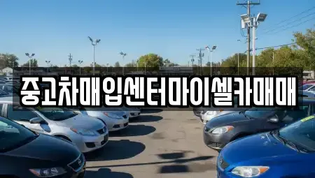 서울특별시 성북구 보문동4가 중고차매입 전문 중고차매입센터마이셀카매매