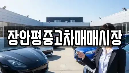 서울특별시 영등포구 당산동1가 중고차매매 전문 장안평중고차매매시장