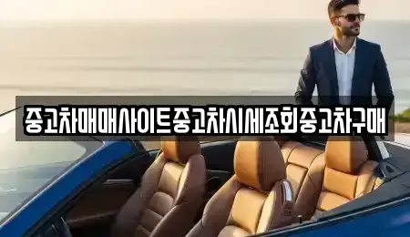 서울특별시 영등포구 당산동1가 중고차매매 전문 중고차매매사이트중고차시세조회중고차구매