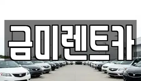 서울특별시 영등포구 영등포동4가 렌트카 전문 금미렌트카