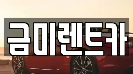 서울특별시 종로구 인사동 렌트카 전문 금미렌트카