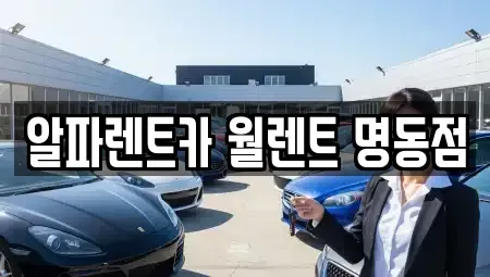 서울특별시 종로구 인사동 렌트카 전문 알파렌트카 월렌트 명동점