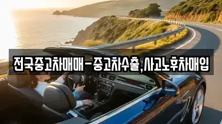 서울특별시 종로구 인사동 중고차 전문 전국중고차매매-중고차수출,사고노후차매입