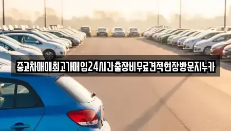 서울특별시 종로구 인사동 중고차 전문 중고차매매최고가매입24시간출장비무료견적현장방문지누카