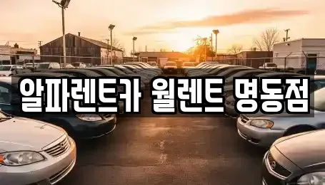 서울특별시 종로구 종로3가 렌트카 전문 알파렌트카 월렌트 명동점