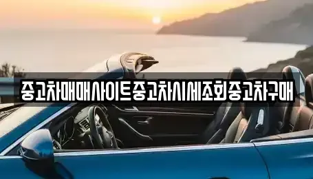 서울특별시 종로구 종로3가 중고차매매,단기렌트카,중고차매입,장기렌트카,중고차,렌트카