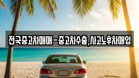 서울특별시 종로구 종로3가 중고차매입 전문 전국중고차매매-중고차수출,사고노후차매입